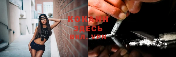 герыч Новодвинск