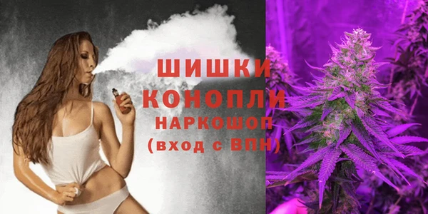 шишки Нягань
