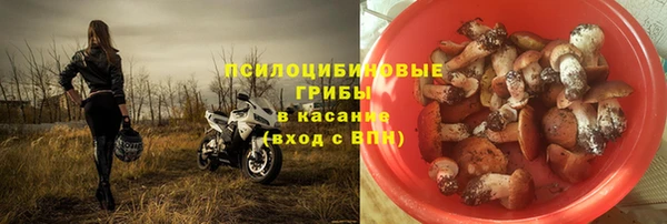 шишки Нягань